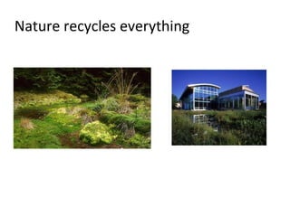 Nature recycles everything
 