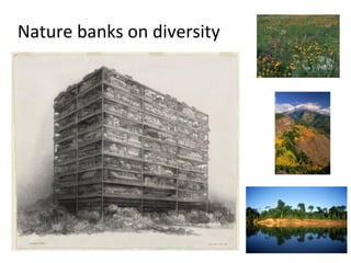 Nature banks on diversity
 