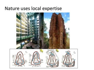 Nature uses local expertise
 