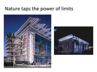 Nature taps the power of limits
 