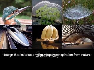 design that imitates orbiomimicry
                       takes creative inspiration from nature
 