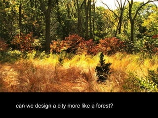 can we design a city more like a forest?
 
