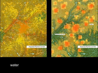 Degraded Riparian Corridor   Restored Riparian Corridor




water
 