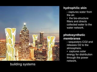hydrophilic skin
                     •  captures water from
                     the air.
                     • the bio-structure
                     filters and directs
                     collected water to the
                     water network.

                   photosynthetic
                   membranes
                     • sequesters CO2 and
                     releases O2 to the
                     atmosphere.
                     • captures solar
                     energy for distribution
                     through the power
                     network.
building systems
 