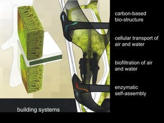 carbon-based
                   bio-structure


                   cellular transport of
                   air and water


                   biofiltration of air
                   and water


                   enzymatic
                   self-assembly


building systems
 