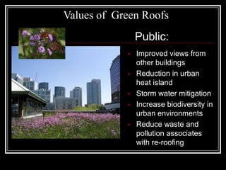 Photo inspiration: Using Green Roofs For Air Pollution Mitigation Reference: Gbf08 Natvik Green Roofs