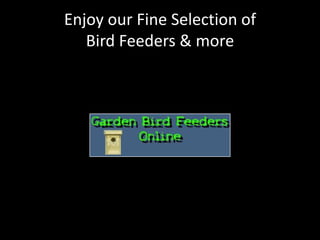 Enjoy our Fine Selection ofBird Feeders & more 
