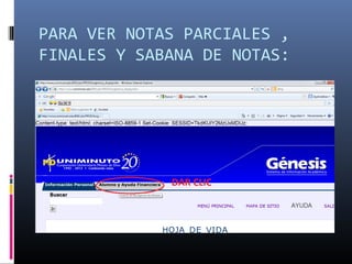 PARA VER NOTAS PARCIALES ,
FINALES Y SABANA DE NOTAS:
 