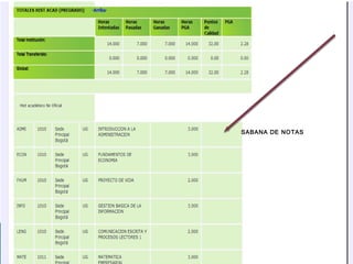SABANA DE NOTAS
 