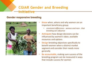 Introduction to the CGIAR Gender and Breeding Initiative