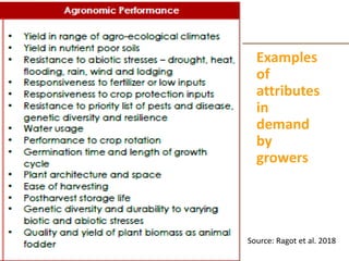 A practical decision checklist for gender-responsive plant and animal breeding