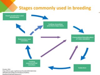 A practical decision checklist for gender-responsive plant and animal breeding