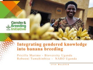 1 7 t h M a y 2 0 1 8
Integrating gendered knowledge
into banana breeding
Pricilla Marimo - Bioversity Uganda
Robooni Tumuhimbise - NARO Uganda
 