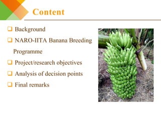 Integrating gendered knowledge into banana breeding