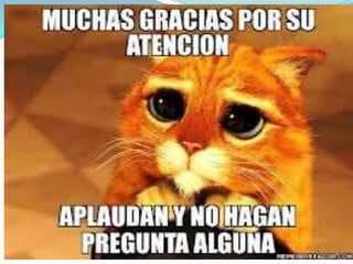 Gbi[1]....hjlklghggddfgfg