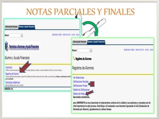 NOTAS PARCIALES Y FINALES
 