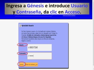 Ingresa a Génesis e introduce Usuario
   y Contraseña, da clic en Acceso.
 