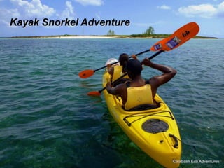 Kayak Snorkel Adventure
 