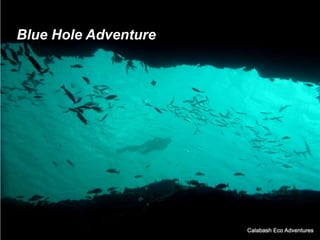 Blue Hole Adventure
 