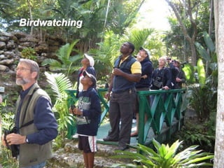 Birdwatching
 