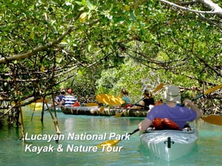 Kayak, Nature & Beach Tour
Lucayan National Park
Kayak & Nature Tour
 