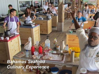 Bahamas Seafood
Culinary Experience
 