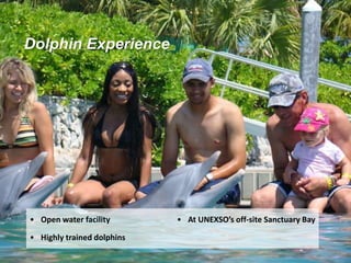 • Open water facility
• Highly trained dolphins
• At UNEXSO’s off-site Sanctuary Bay
Dolphin Experience
 