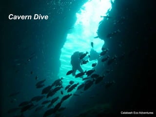 Cavern Dive
 