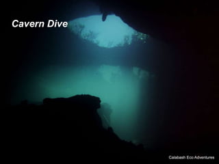 Cavern Dive
 