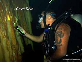 Cave Dive
 