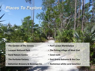 Places To Explore
• The Garden of The Groves
• Lucayan National Park
• Rand Nature Centre
• The Perfume Factory
• Bahamian Brewery & Beverage Co.
• Port Lucaya Marketplace
• The fishing village of West End
• Coral reefs
• East Grand Bahama & the Cays
• Numerous white sand beaches!
 