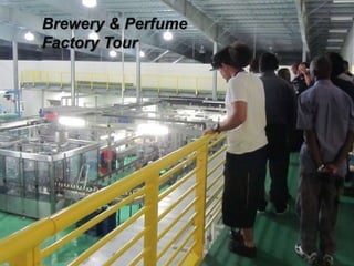 Brewery & Perfume
Factory Tour
 