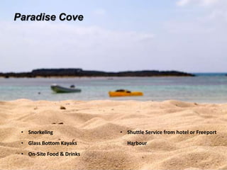 Paradise Cove
• Snorkeling
• Glass Bottom Kayaks
• On-Site Food & Drinks
• Shuttle Service from hotel or Freeport
Harbour
 