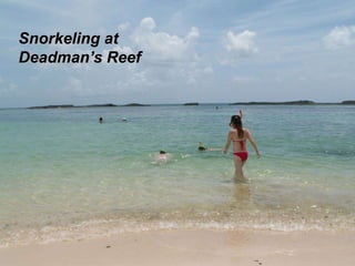 Snorkeling at
Deadman’s Reef
 