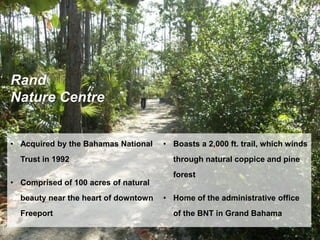 Rand
Nature Centre
• Acquired by the Bahamas National
Trust in 1992
• Comprised of 100 acres of natural
beauty near the heart of downtown
Freeport
• Boasts a 2,000 ft. trail, which winds
through natural coppice and pine
forest
• Home of the administrative office
of the BNT in Grand Bahama
 