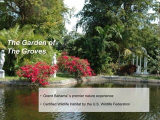 The Garden of
The Groves
• Grand Bahama’s premier nature experience
• Certified Wildlife Habitat by the U.S. Wildlife Federation
 