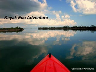 Kayak Eco Adventure
 