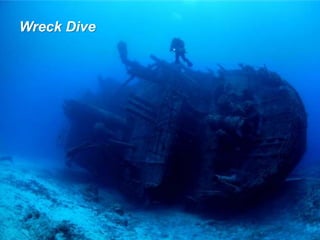 Wreck Dive
 