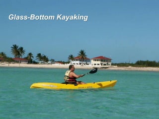 Glass-Bottom Kayaking
 