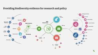 Providing biodiversity evidence for research and policy
 