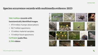 146.1 million records with
taxonomically identiﬁed images
• 97.4 million human observations
• 52.7 million specimens
• 1.1 million material samples
• 1.1 million fossil specimens
1,217,664 audio ﬁles
3,758 videos
Species occurrence records with multimedia evidence: 2023
https:/
/www.gbif.org/occurrence/gallery
2 October 2023
 