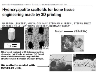3D printed testpart with interconnecting channels. (a) Whole structure. (b) Detail view of the interconnecting channel structure with diameter of about 500 μ m. HA scaffolds seeded with MC3T3-E1 cells Binder  (Schelofix) 