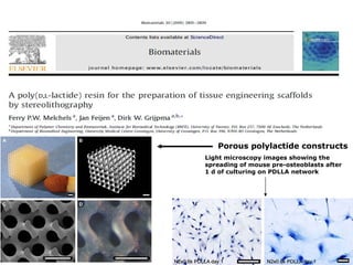 Porous polylactide constructs Light microscopy images showing the spreading of mouse pre-osteoblasts after 1 d of culturing on PDLLA network 