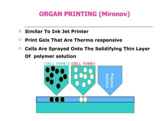 ORGAN PRINTING (Mironov) Similar To Ink Jet Printer Print Gels That Are Thermo responsive Cells Are Sprayed Onto The Solidifying Thin Layer Of  polymer solution Polymer Solution CELL TYPE1 CELL TYPE 2 