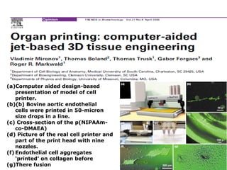 Computer aided design-based presentation of model of cell printer.  (b) Bovine aortic endothelial cells were printed in 50-micron size drops in a line.  (c) Cross-section of the p(NIPAAm-co-DMAEA)  (d) Picture of the real cell printer and part of the print head with nine nozzles.  Endothelial cell aggregates ‘printed’ on collagen before  There fusion 
