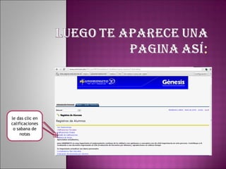le das clic en
calificaciones
 o sabana de
     notas
 