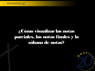 ¿Cómo visualizar las notas
parciales, las notas finales y la
       sábana de notas?
 