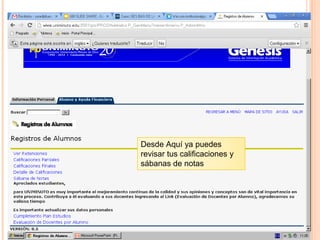 Desde Aquí ya puedes
revisar tus calificaciones y
sábanas de notas
 