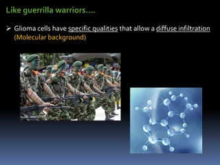 Like guerrilla warriors….
 Glioma cells have specific qualities that allow a diffuse infiltration
(Molecular background)
 