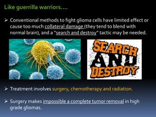 Like guerrilla warriors….
 Conventional methods to fight glioma cells have limited effect or
cause too much collateral damage (they tend to blend with
normal brain), and a “search and destroy” tactic may be needed.
 Treatment involves surgery, chemotherapy and radiation.
 Surgery makes impossible a complete tumor removal in high
grade gliomas.
 